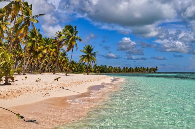 Saona Paradise Island : Catamaran, Natural Pool and Typical Lunch - The Sum Up