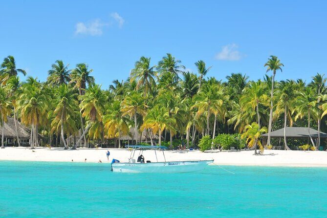 Saona Party Boat and Natural Pool from Cap Cana with Lobster - Key Points