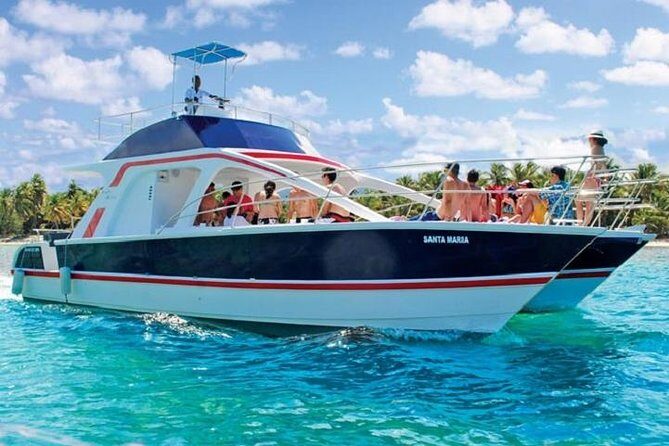 Saona Platinum Beach Day - Discovering the Saona Platinum Beach Day Tour: What to Expect
