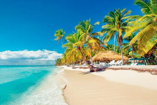 Saona Platinum Beach Day - Key Points