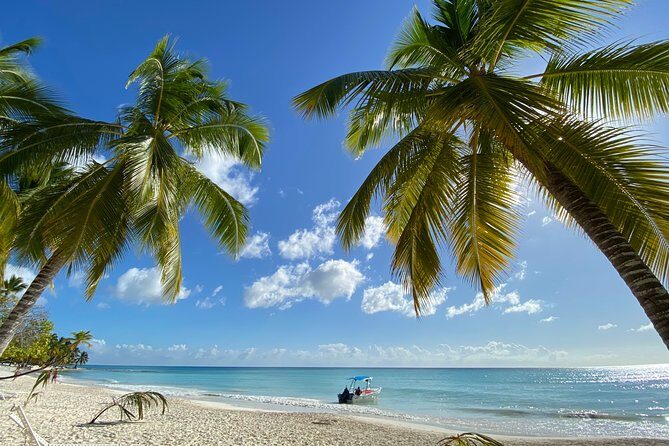 Saona Private Full-Day Tour from Punta Cana - Pricing and Value