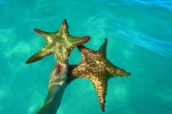 Saona Private Tour with Own Guide and Transport from Punta Cana - FAQ