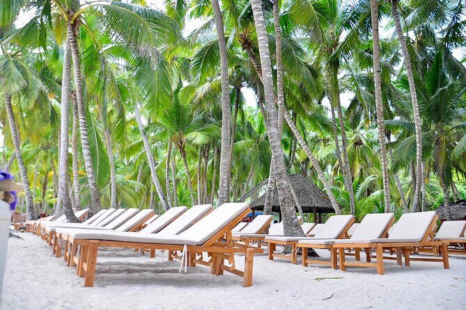 Saona Snorkel Private Cruise with Food and Drinks - Authenticity and Value