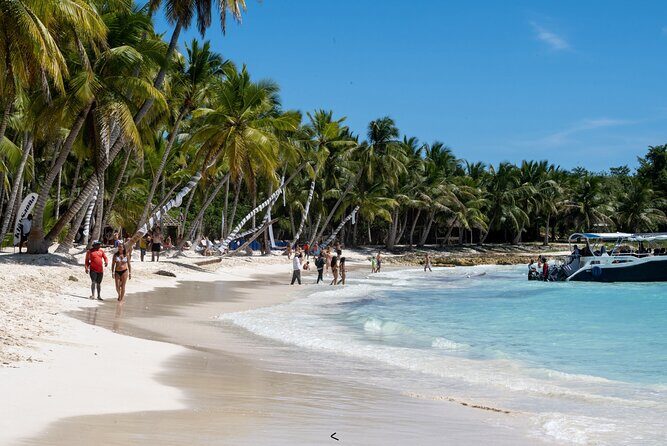 Saona Snorkel Private Cruise with Food and Drinks - Practical Tips for Travelers