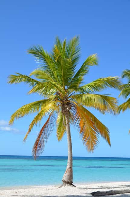 Saona Special Tour: Four Beaches & Canto Experience - FAQ