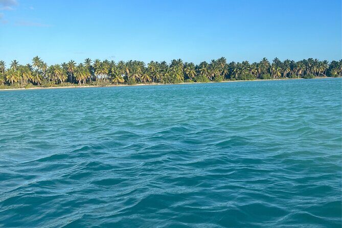 Saône Catamaran Island - speedboat, open bar and lunch - FAQ Section