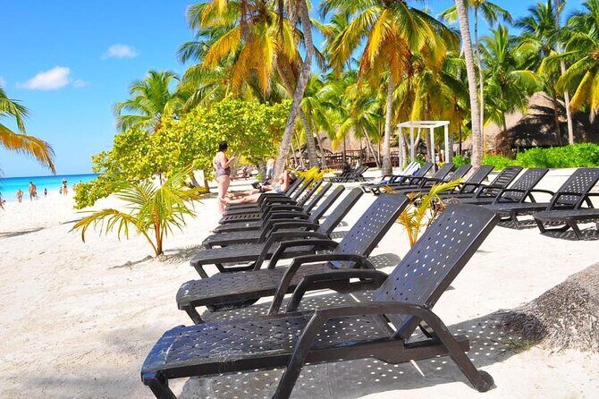 Saône Island Tour  Caribbean Paradise - A Closer Look at the Saône Island Tour Caribbean Paradise