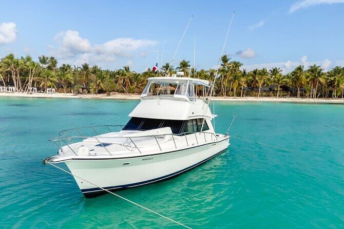 Saône VIP Island by Luxury Yacht - Key Points