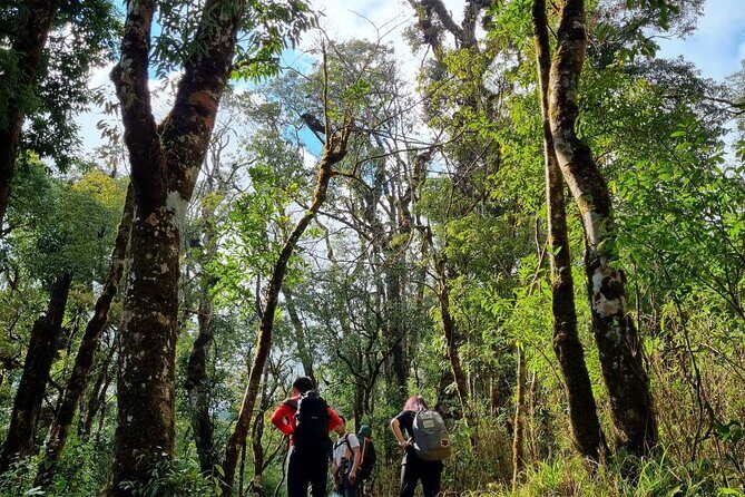Sapa 1 day trek with local guide to the village by Comlam - Key Points