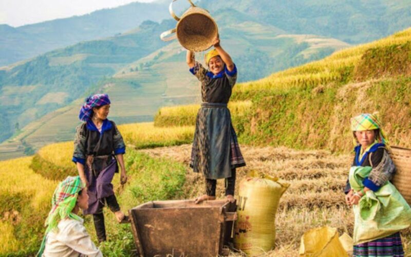 Sapa 1-Day trekking to Lao Chai-Ta van village - What Makes This Tour Stand Out?