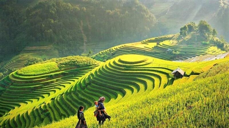 Sapa 1-Day trekking to Lao Chai-Ta van village - FAQs