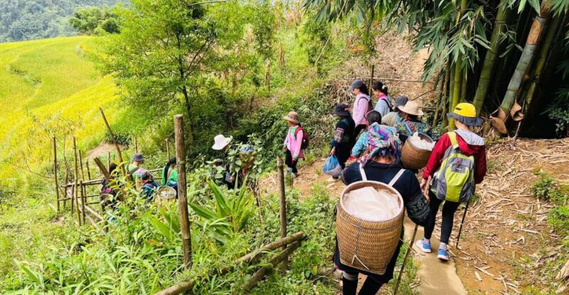 Sapa 1-Day Trekking Tour: Rice Terraces & Villages - Sapa 1-Day Trekking Tour: Rice Terraces & Villages