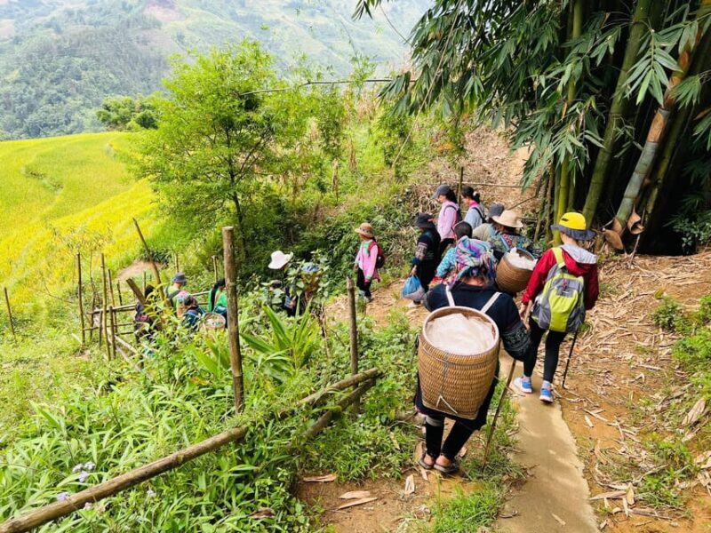 Sapa 1-Day Trekking Tour: Rice Terraces & Villages - Exploring Sapa: A Deep Dive into the Experience
