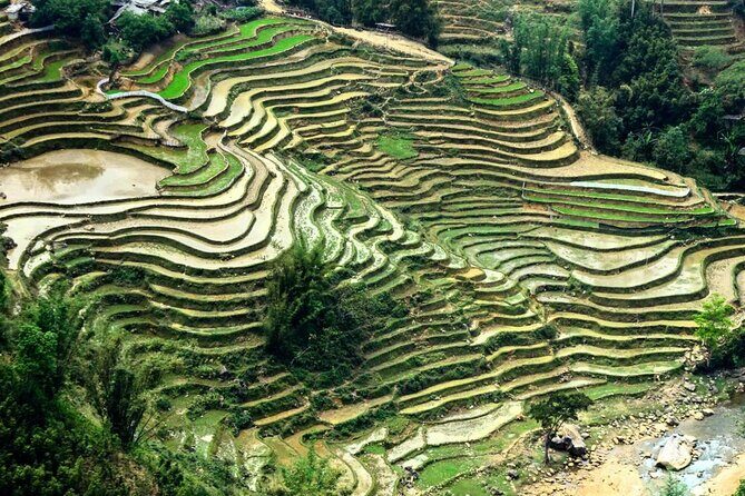 Sapa 2 Days Trek with 1 Night Homestay - Final Thoughts: Is This Tour Right for You?