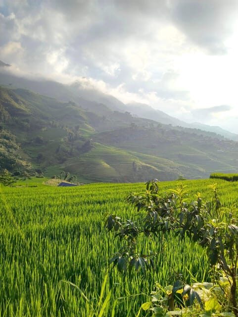 SAPA: 2 DAYS Walking & 1 night at Homestay with LOCAL GUIDE - Final Words