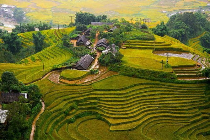 Sapa 3 Day Trekking with 2 Nights Homestay - Sapa 3 Day Trekking with 2 Nights Homestay — A Deep Dive Into Vietnam’s Mountain Heartland