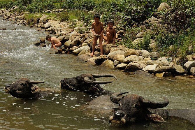 Sapa 3 Days 2 Nights Trekking Tour (1 Night In Ta Van Village, 1 Night In Hotel) - FAQs