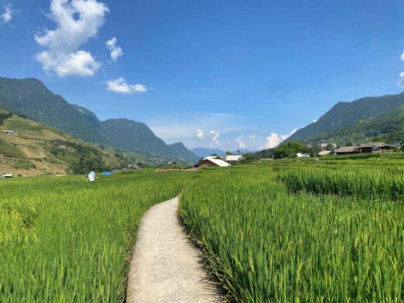 Sapa: 4-Day Trekking Tour with Homestay and Meals - Final Thoughts