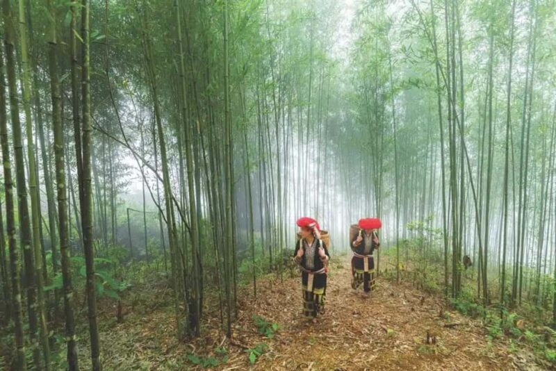 Sapa: 4-Day Trekking Tour with Homestay - Exploring the Sapa Trek in Detail