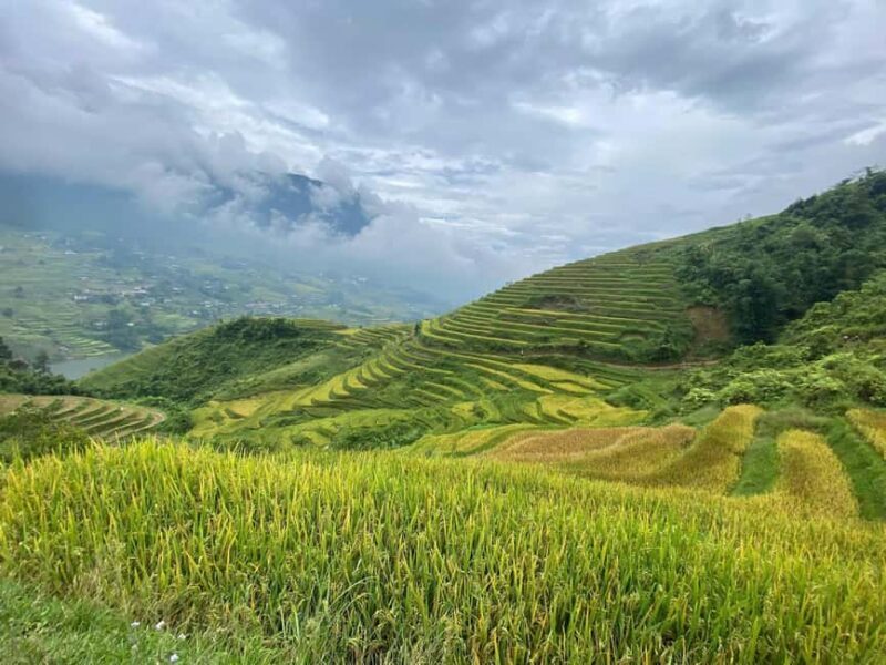 Sapa: 4-Day Trekking Tour with Homestay - Value and Pricing