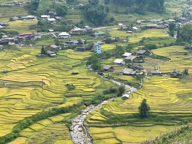 Sapa: 4-Day Trekking Tour with Homestay - Practical Tips for Your Trek