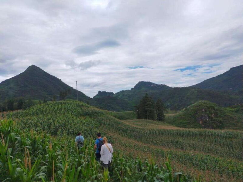 Sapa: Amazing Suoi Ho, Ma Tra Villages Private Day Trip - Key Points