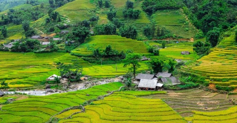 Sapa beautiful rice field, village - Easy walking kid,senior - What to Expect from the Tour