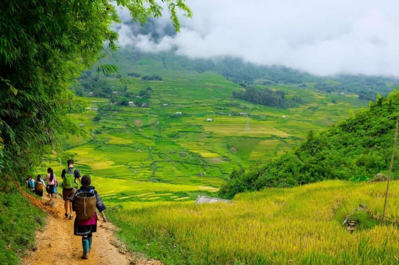 Sapa beautiful rice field, village - Easy walking kid,senior - Authenticity and Value