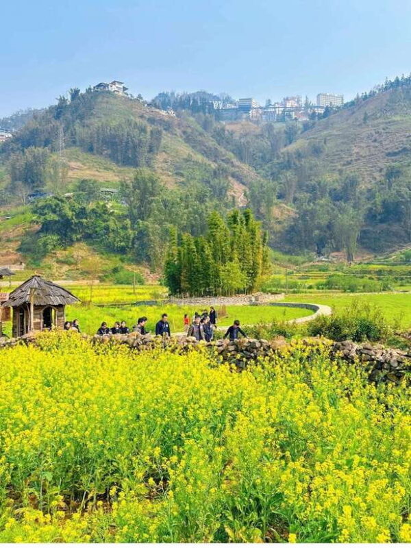 Sapa Cat Cat Village And Y Linh Ho Private Trekking Tour - An In-Depth Look at the Sapa Trekking Experience