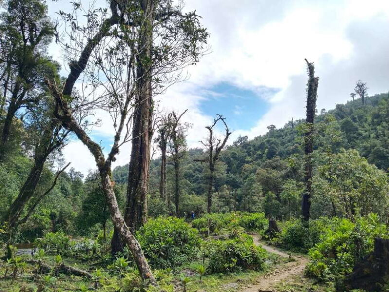 SAPA : Climb up to Fansipan mountain with LOCAL GUIDE - Location and Duration: Setting the Scene