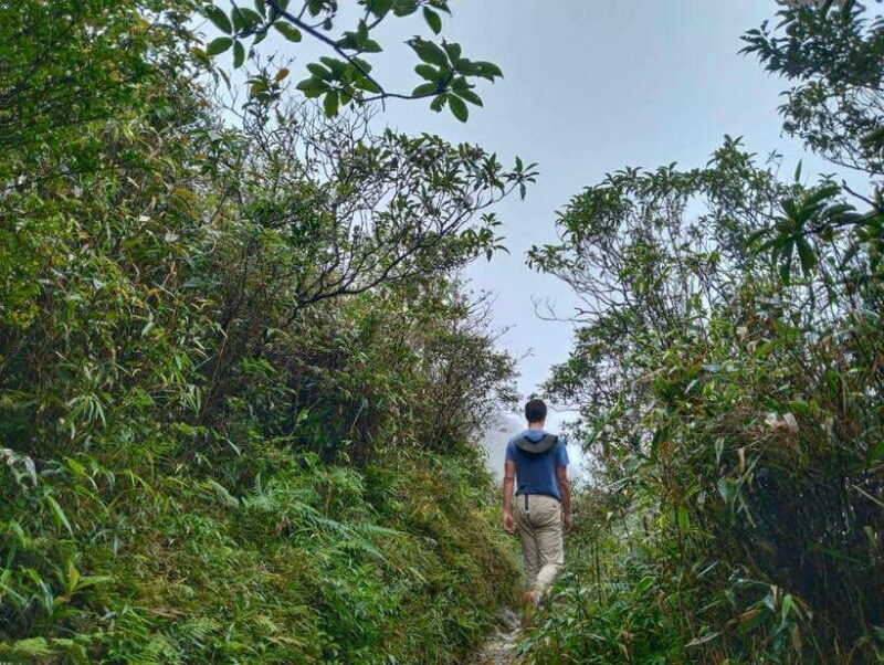 SAPA : Climb up to Fansipan mountain with LOCAL GUIDE - Reaching the Summit: Views and Celebrations