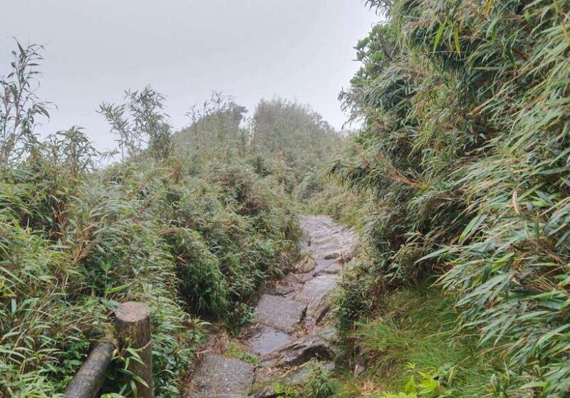 SAPA : Climb up to Fansipan mountain with LOCAL GUIDE - Descent and Return: Options and Realities