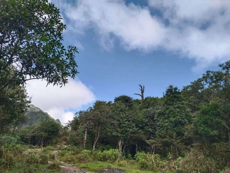 SAPA : Climb up to Fansipan mountain with LOCAL GUIDE - Practical Tips for the Climb