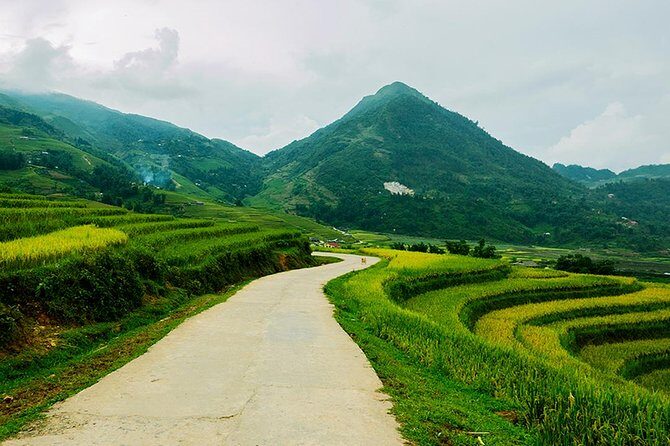 Sapa Easy Trekking Tour 1 Day - Rice Paddies and Cultures - Who Will Love This Tour?