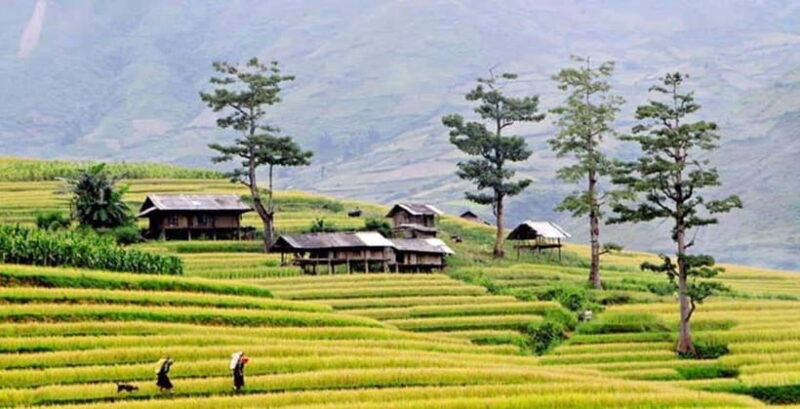 Sapa: Eco Adventure Terrace Fields and Local Villages Trek - The Sum Up