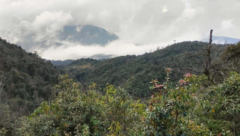 Sapa: Fansipan Mountain 2-Day Trekking Tour - Practical Details and Value