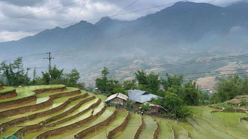 Sapa Fansipan Mountain, Cat Cat Village Trekking 2 Day Tour - Authentic Experiences and Traveler Insights