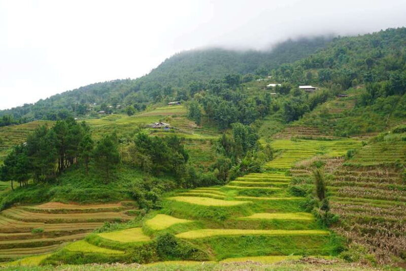 Sapa: Full-Day Hike to Ta Phin & Cat Cat Village with Lunch - Analyzing the Value: Is It Worth $60?