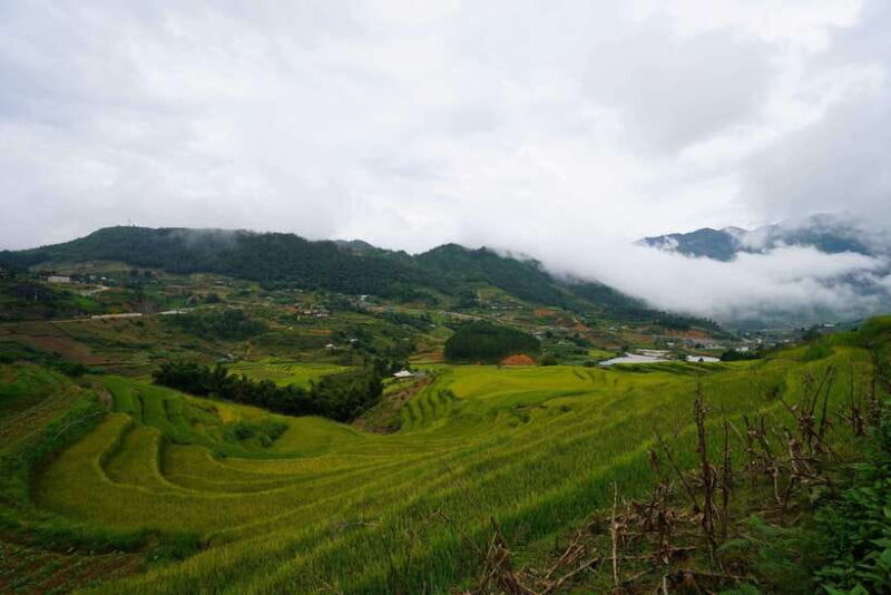 Sapa: Full-Day Hike to Ta Phin & Cat Cat Village with Lunch - Who Would Love This Tour?