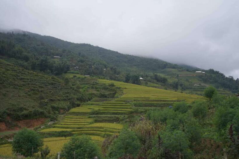 Sapa: Full-Day Hike to Ta Phin & Cat Cat Village with Lunch - The Sum Up