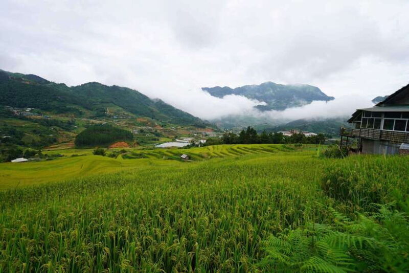 Sapa: Full-Day Hike to Ta Phin & Cat Cat Village with Lunch - FAQ
