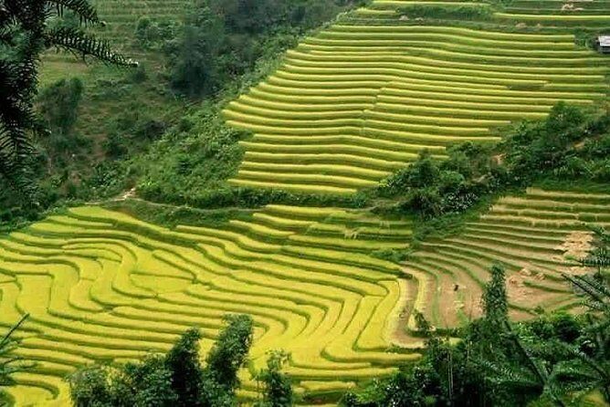 Sapa: Full-Day Private Muong Hoa Valley Tour - Transportation and Logistics: Comfort and Convenience