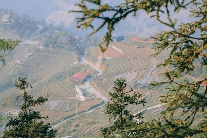 Sapa Full Day Trekking Through Rice Fields Terrace - A Closer Look at the Sapa Full Day Trekking Tour
