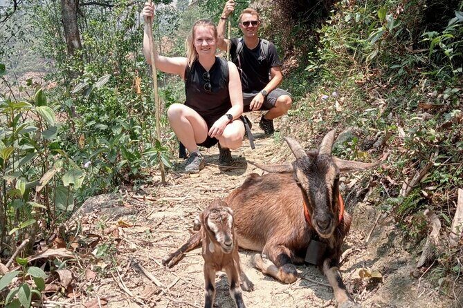Sapa Half Day Local Farming Experience - The Sum Up