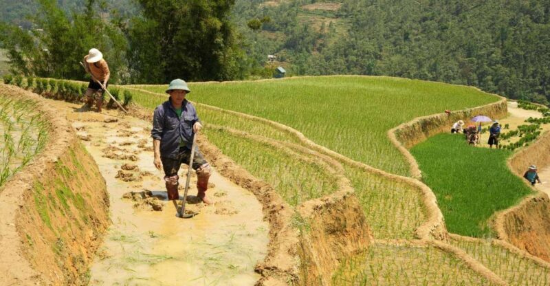 Sapa hard trekking villages and homestay 2 days 1 night trip - A Detailed Look at the 2-Day Sapa Trekking & Homestay Tour