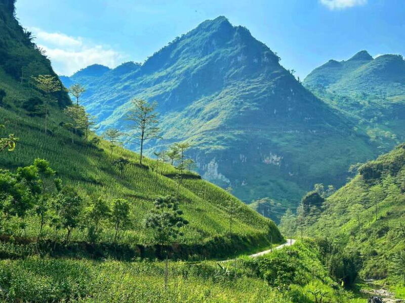 Sapa: Highlights 3-Day 3-Night Ha Giang Loop Motorbike Tour - Who Is This Tour Best For?