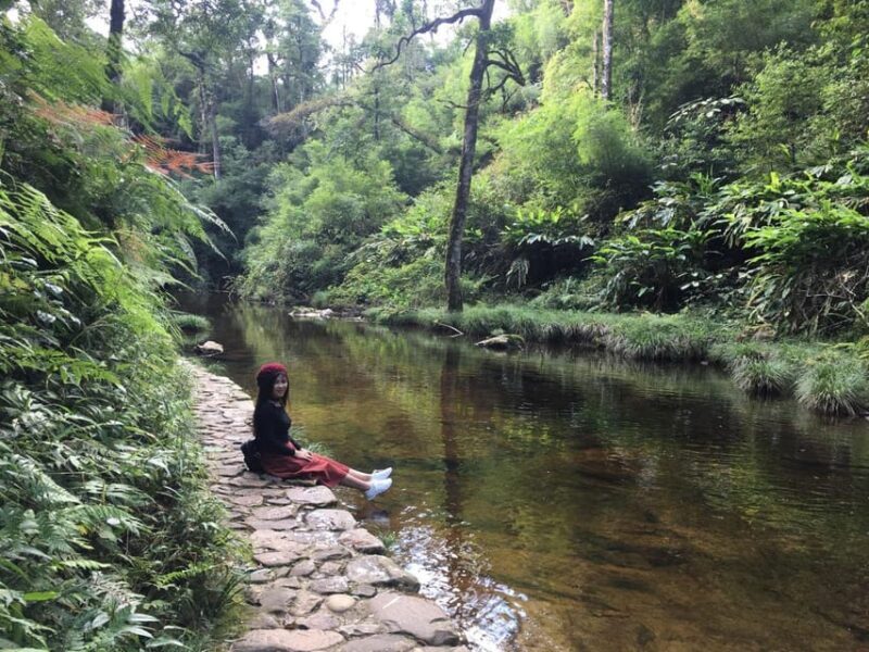 Sapa Hoang Lien National Park & Tribal Village Trek Private - Discovering the Heart of Sapa: A Closer Look at the Itinerary