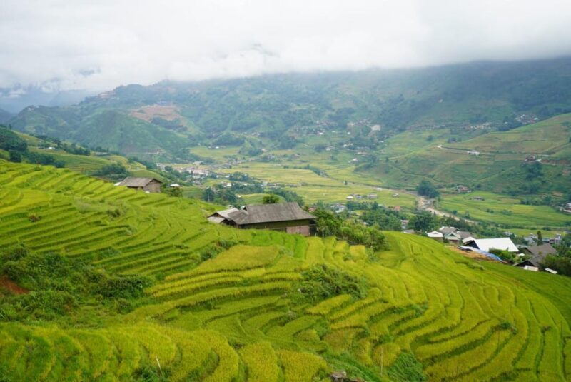 Sapa Hoang Lien National Park & Tribal Village Trek Private - Final Word