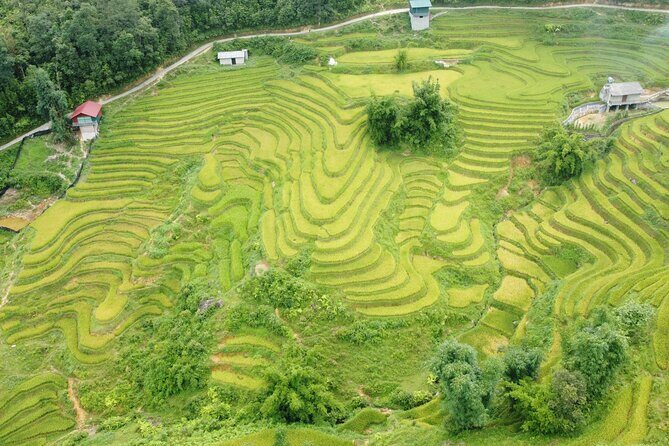 Sapa Journey 3D2N: 3 Star Hotel Stay & Village Homestay - Detailed Review