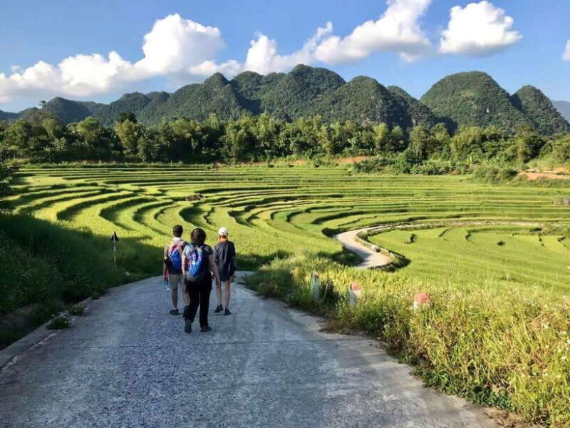 Sapa Motorbike Private Full Day Tour With Cat Cat Village - Key Points